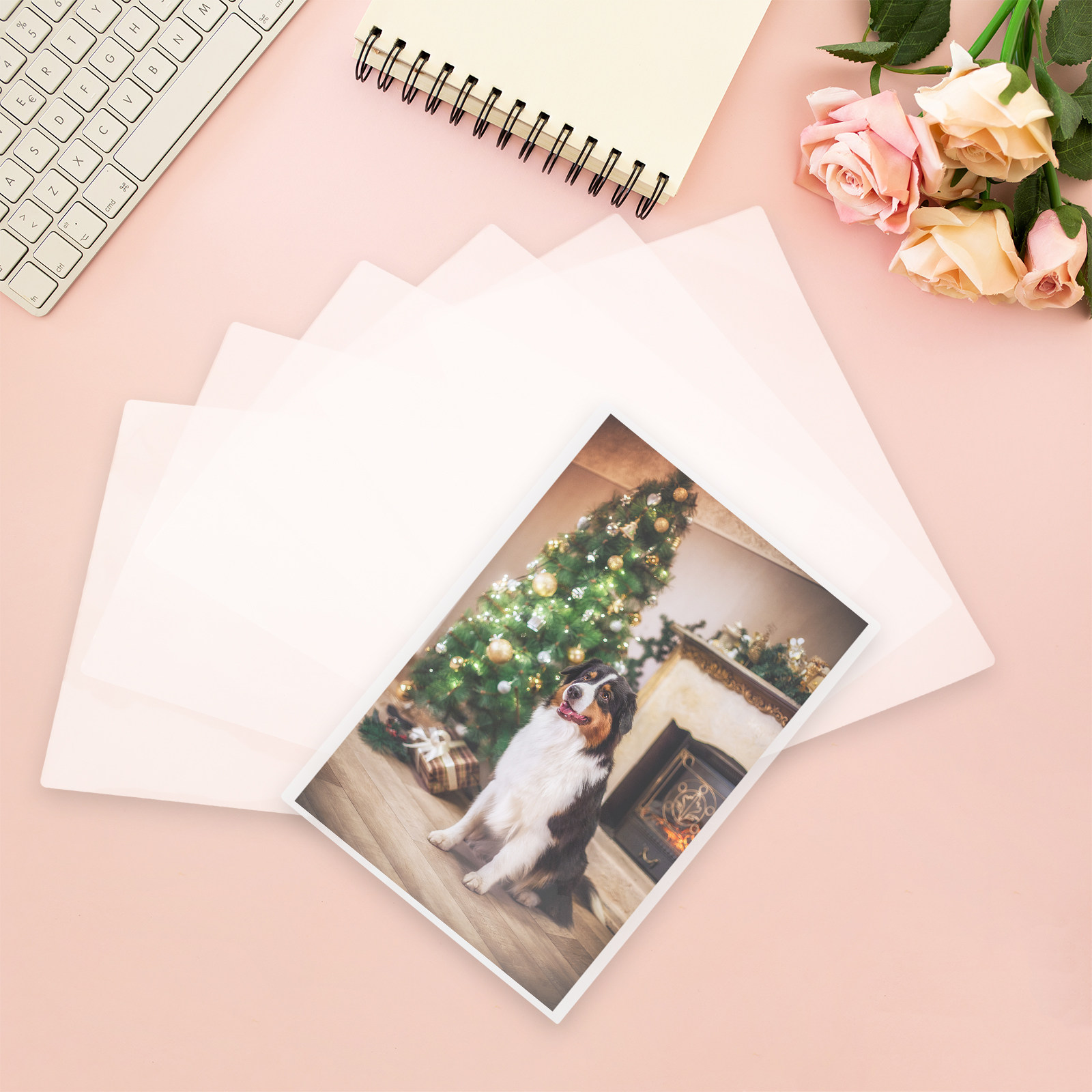 ซองเคลือบความร้อน 100 ชิ้น ฟิล - Document Laminator Pouch บทวิจารณ์และราคา